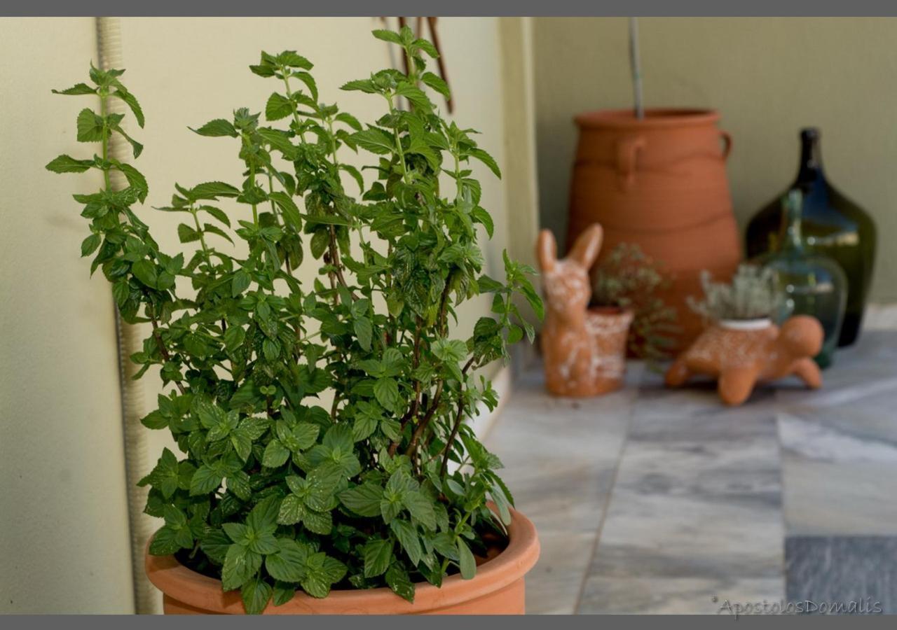 Areti' s Home Volos Eksteriør billede